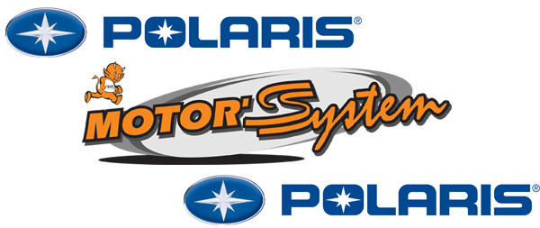 Motor system LOGO Polaris
